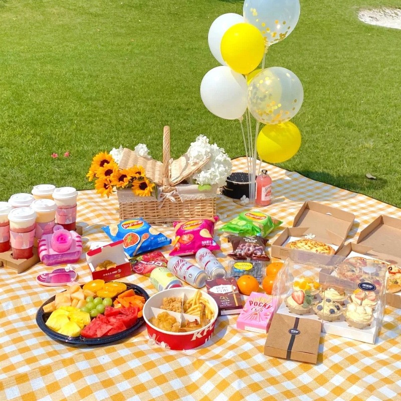 200x200cm Extra Large Picnic M - Outdoor Camping Blanket 评论和价格